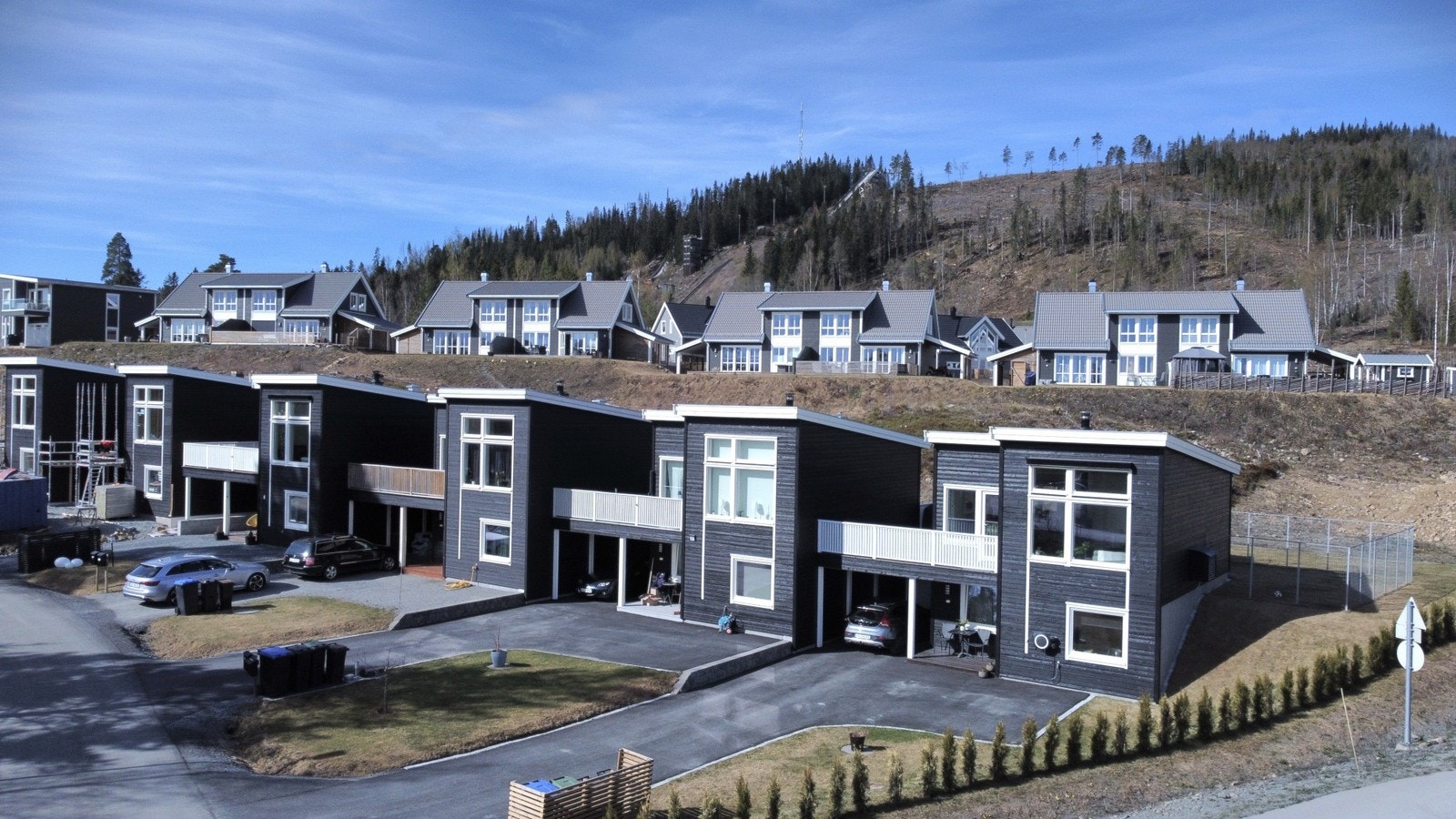 Frøyas veg Galleribilde