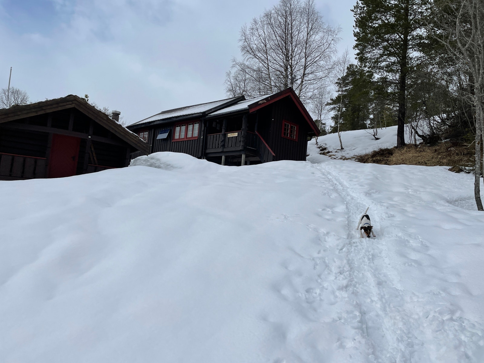 Vinterstemning Galleribilde