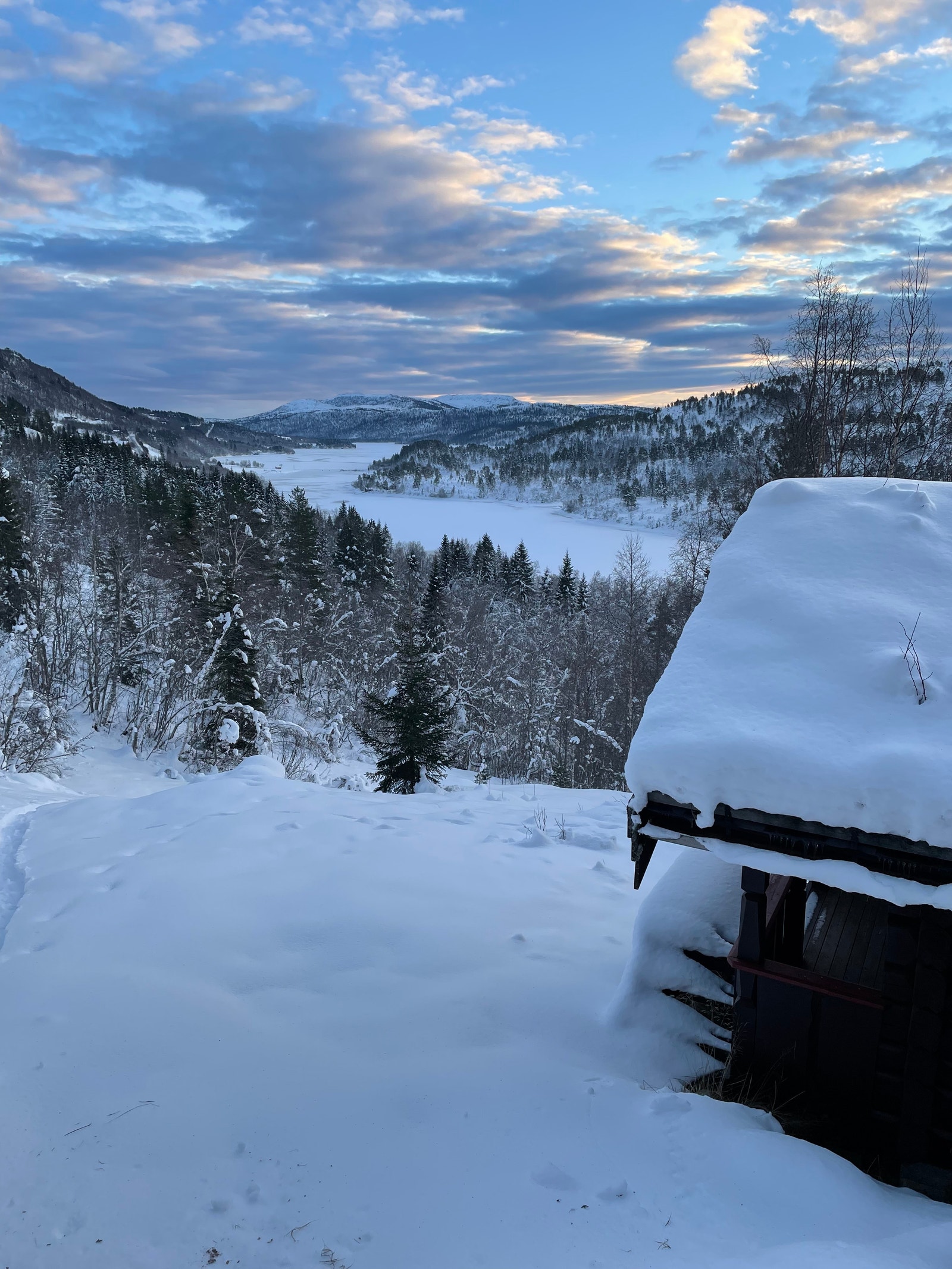 Vinter. Galleribilde