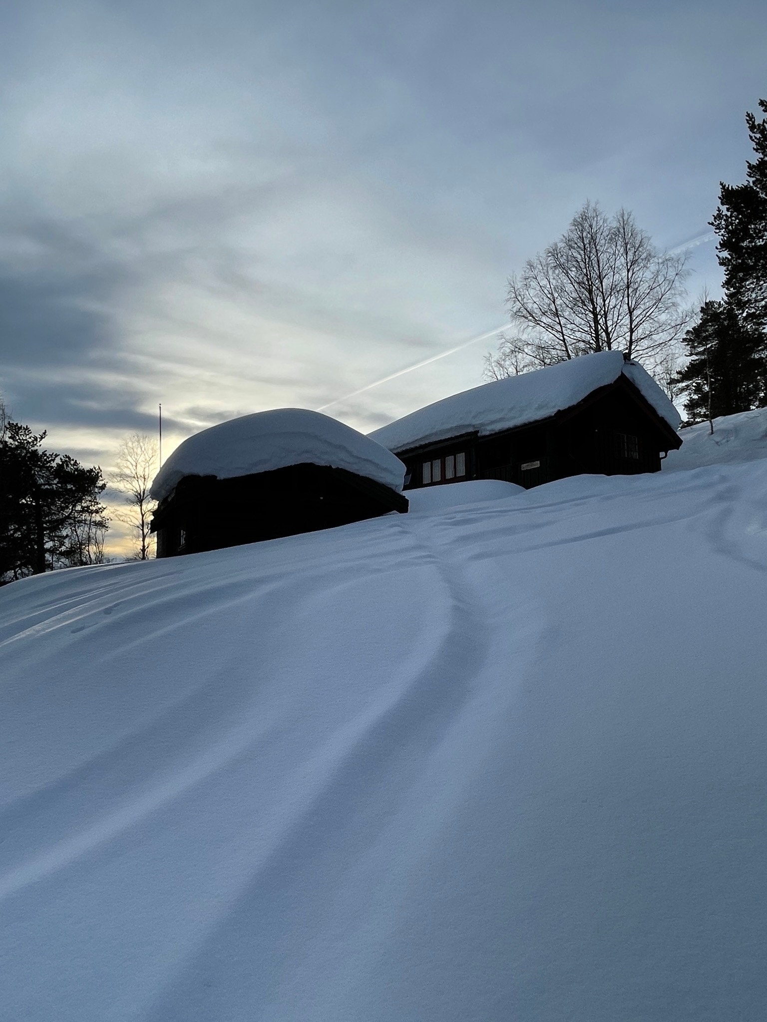 Vinterstemning Galleribilde