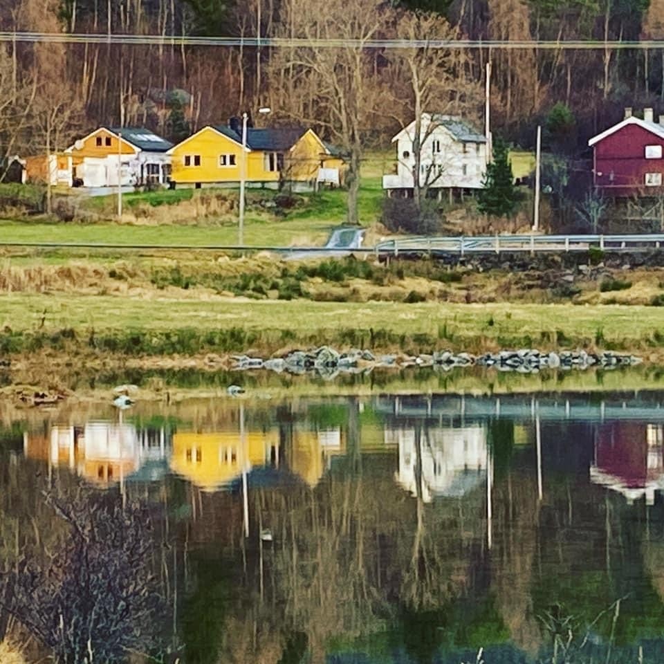 Fin plassering mot Jørgenvågen Galleribilde