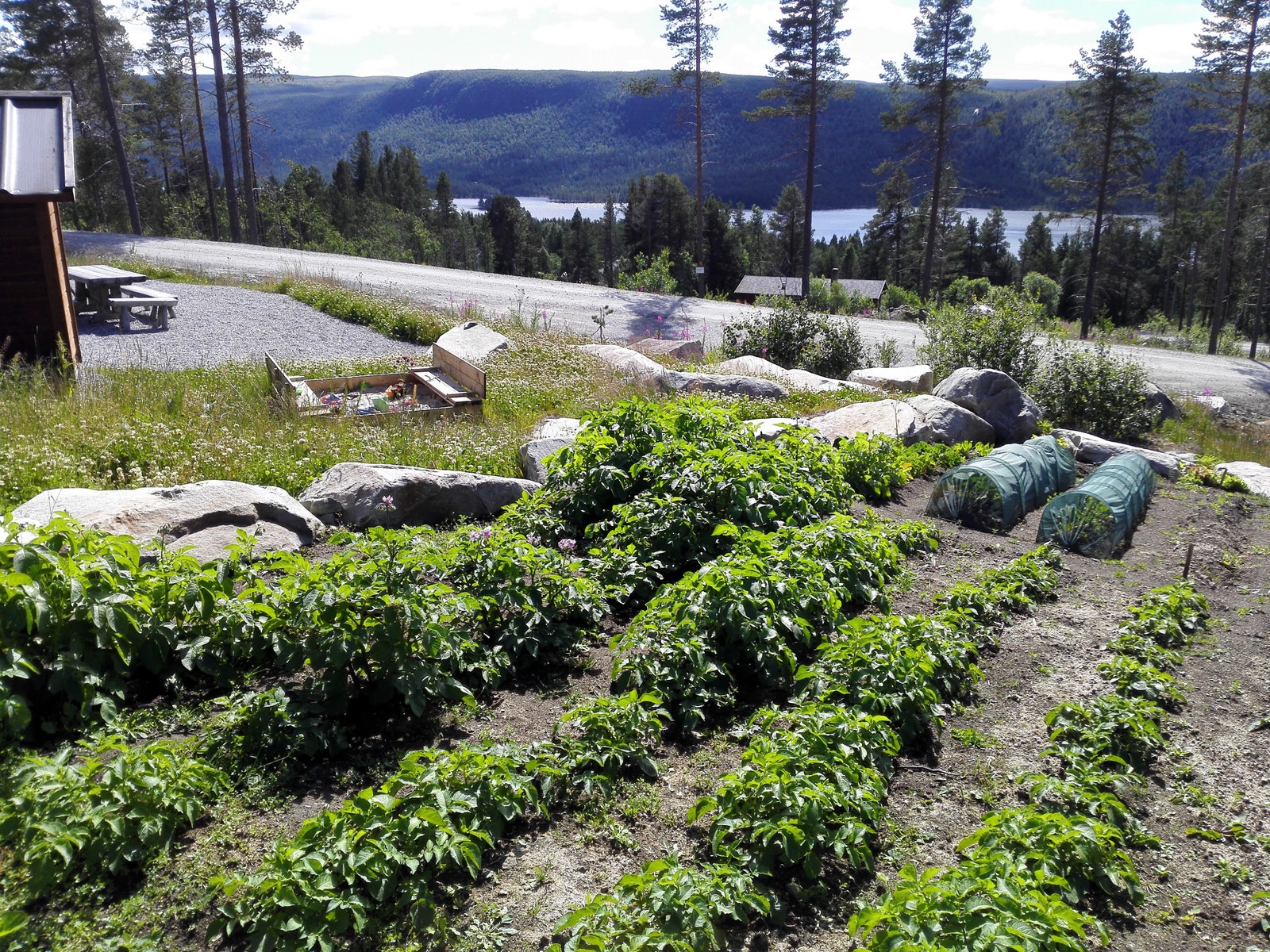 Minihuset ligger i et boligfelt med et koselig fellesområde med andelsåker, bokbyttebu, bord, benker, bålpanne, sandkasse og storhuske til barna. Galleribilde