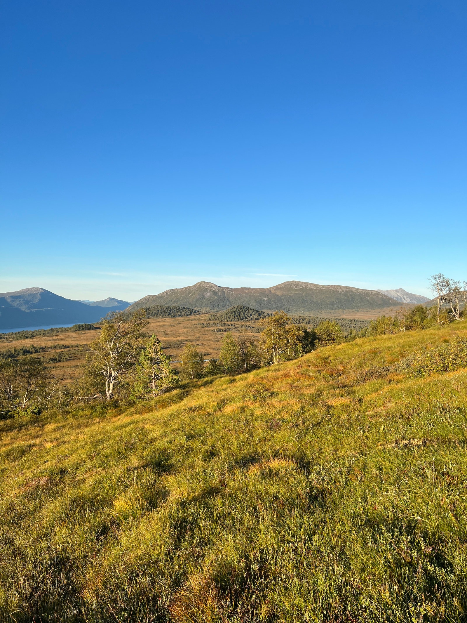 Utsikt innover mot Herjevatnet. Galleribilde