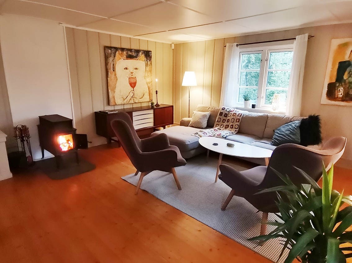 Trivelig stue med vedovn. Galleribilde