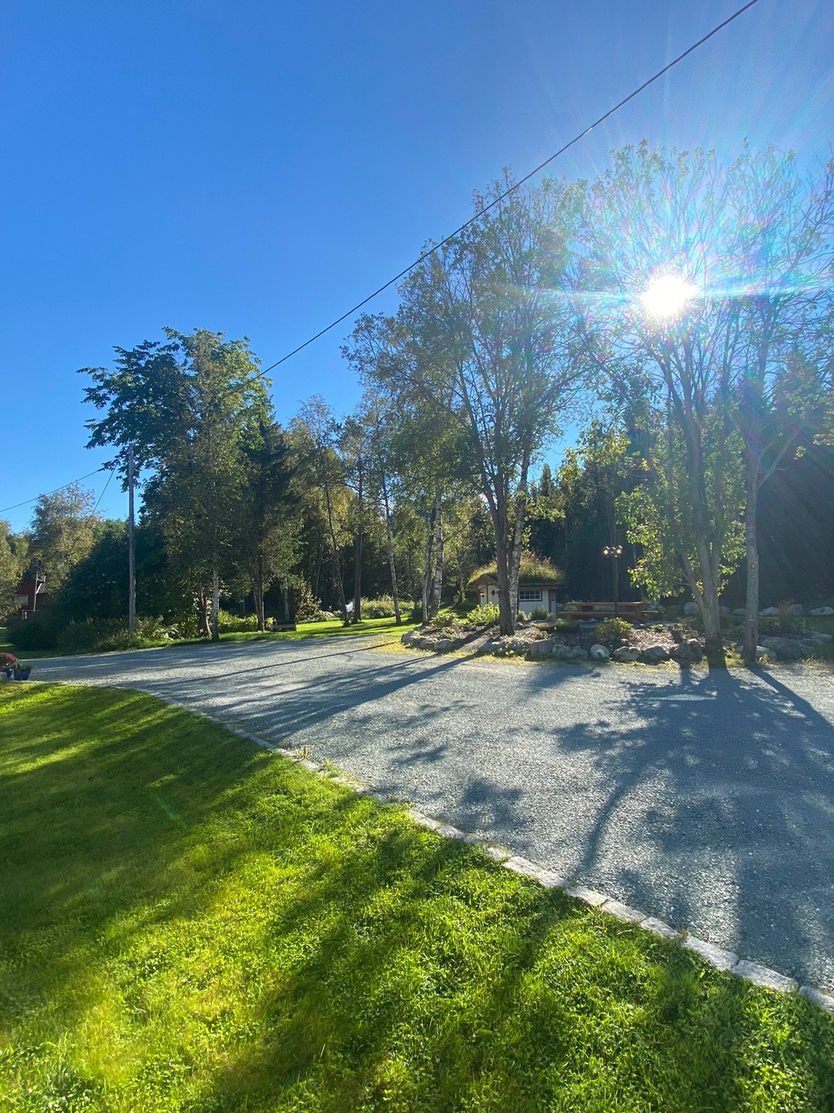 Veldig romslig bak huset mot skogen Galleribilde