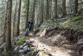 Torpo er eit eldorado for stisykling og sykling på stølsvegar på fjellet Galleribilde