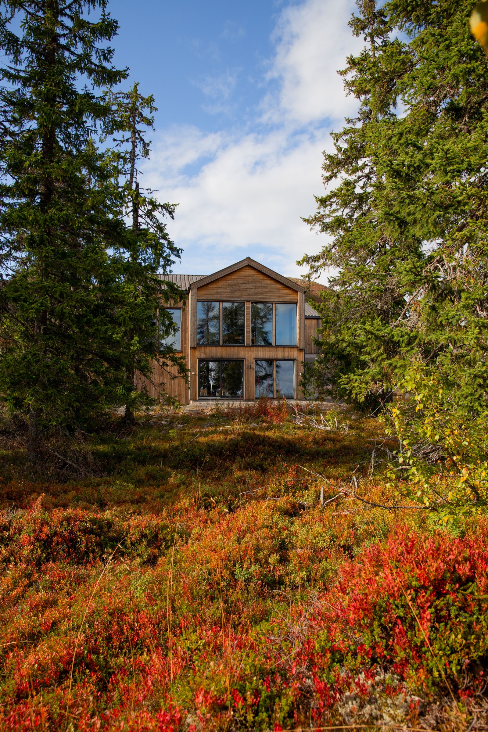 Velkommen til The View Trysil Galleribilde