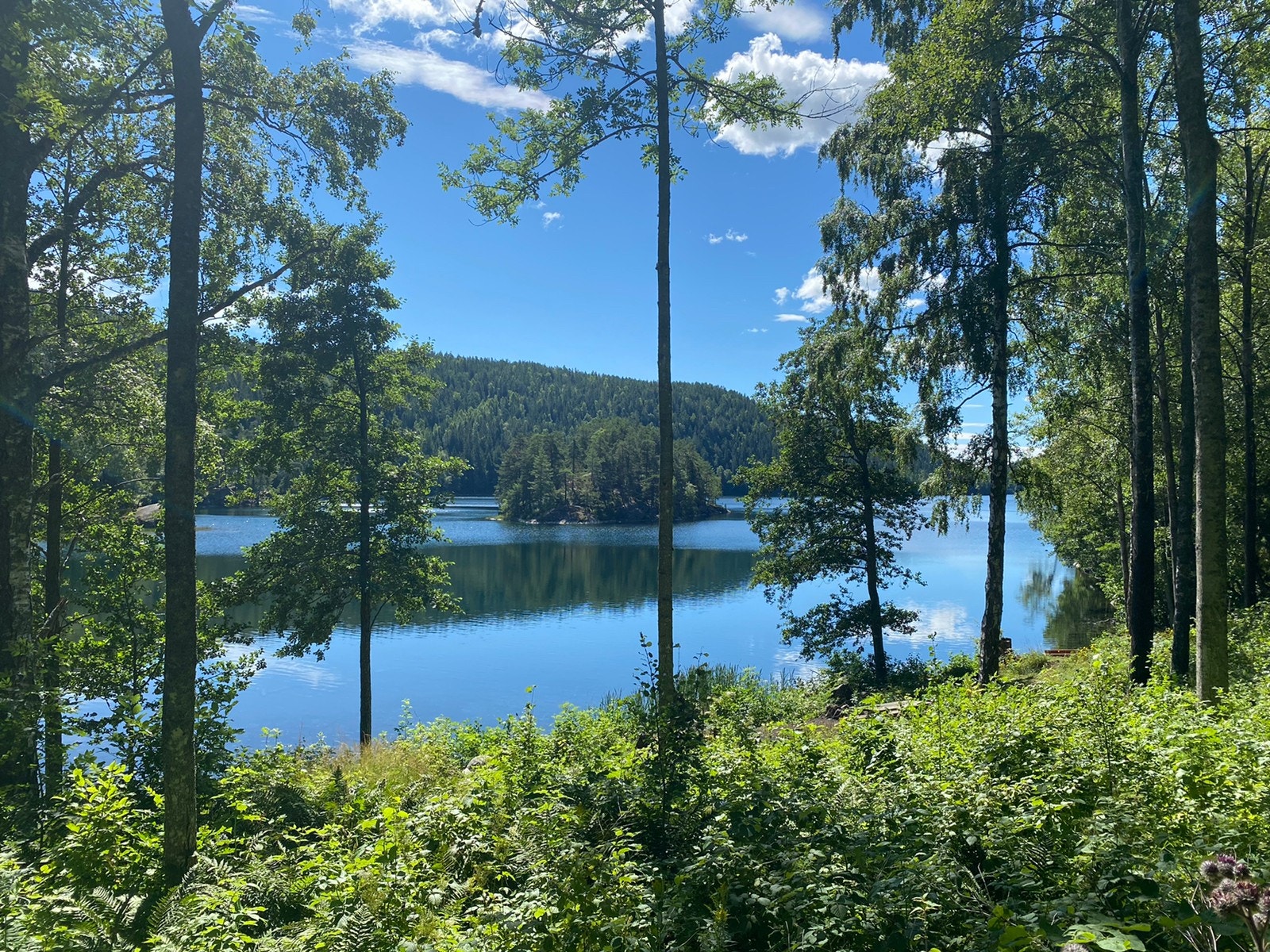 Lutvann Galleribilde