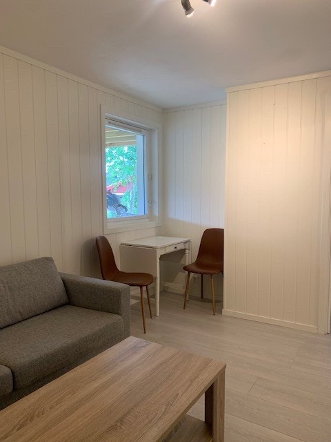 Stue (leies ut ut møbler) Galleribilde