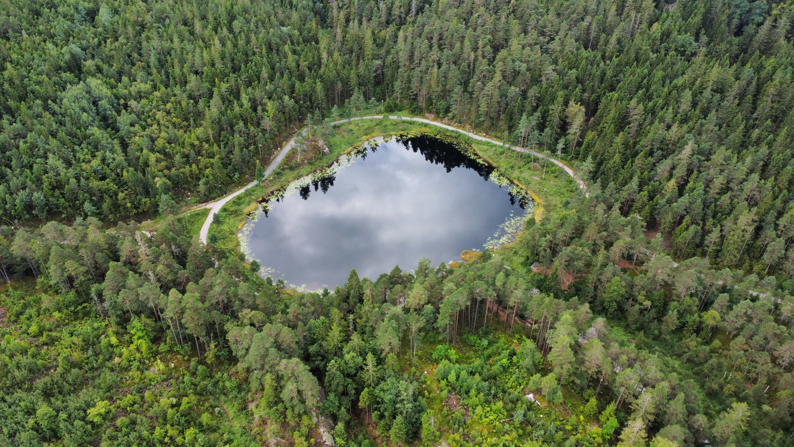 Moseidtjønna. Populært turområde.