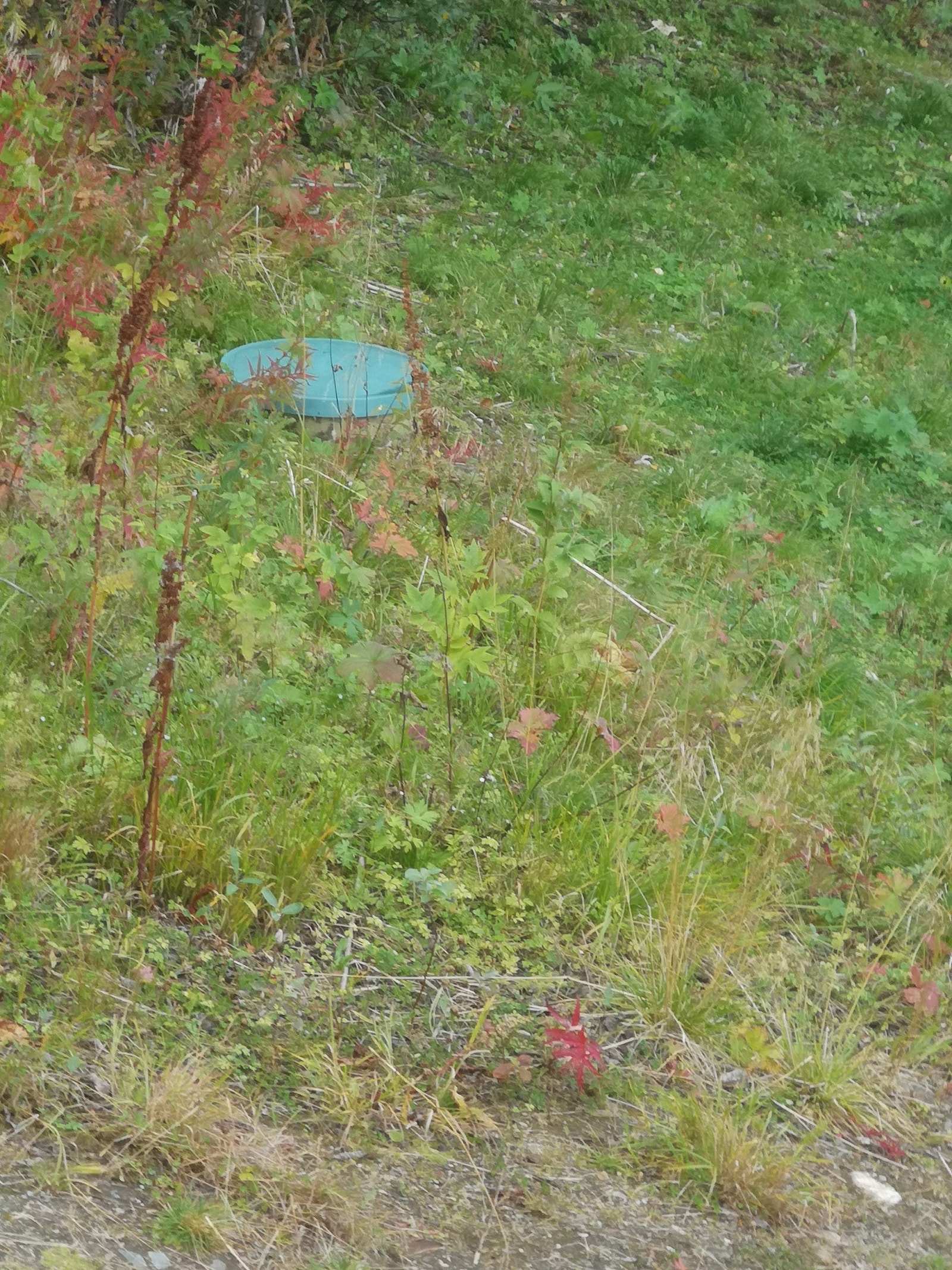 Septiktank Galleribilde