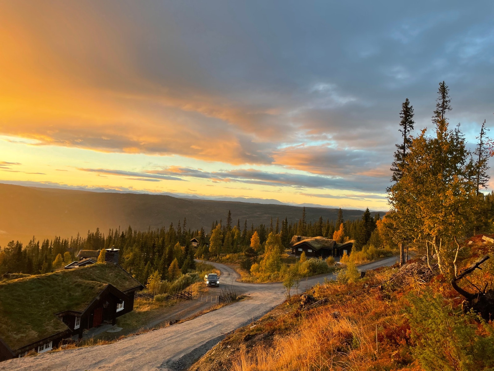 Solnedgang Galleribilde