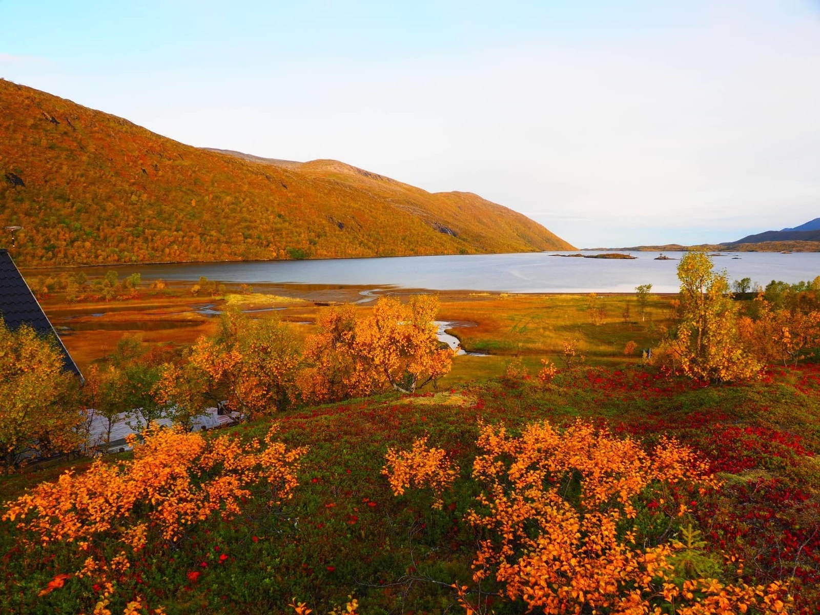 Utsikt mot hav Galleribilde