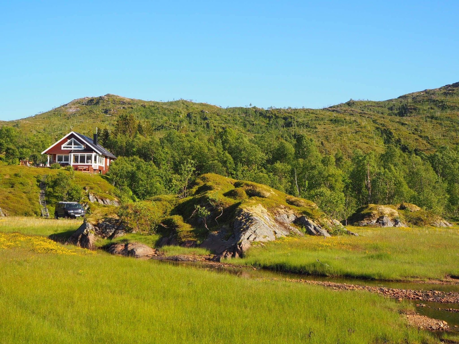 Sommerbilde av hytta Galleribilde