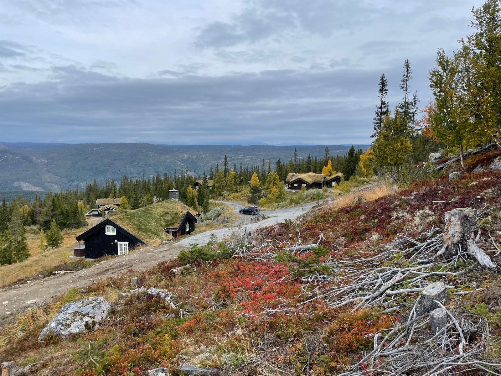 Tilkomst med utsikt mot Jotunheimen Galleribilde