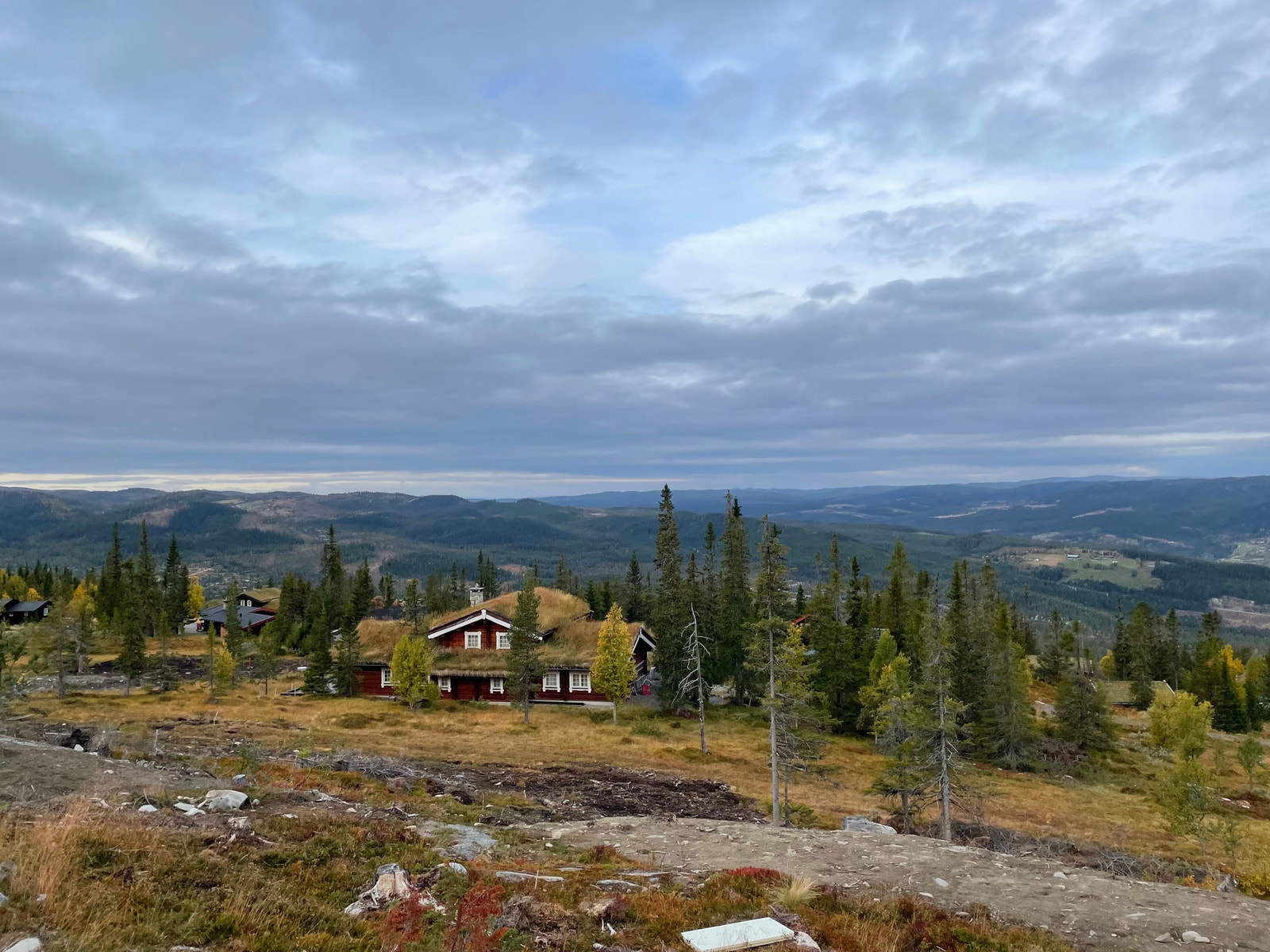 Panorama Galleribilde