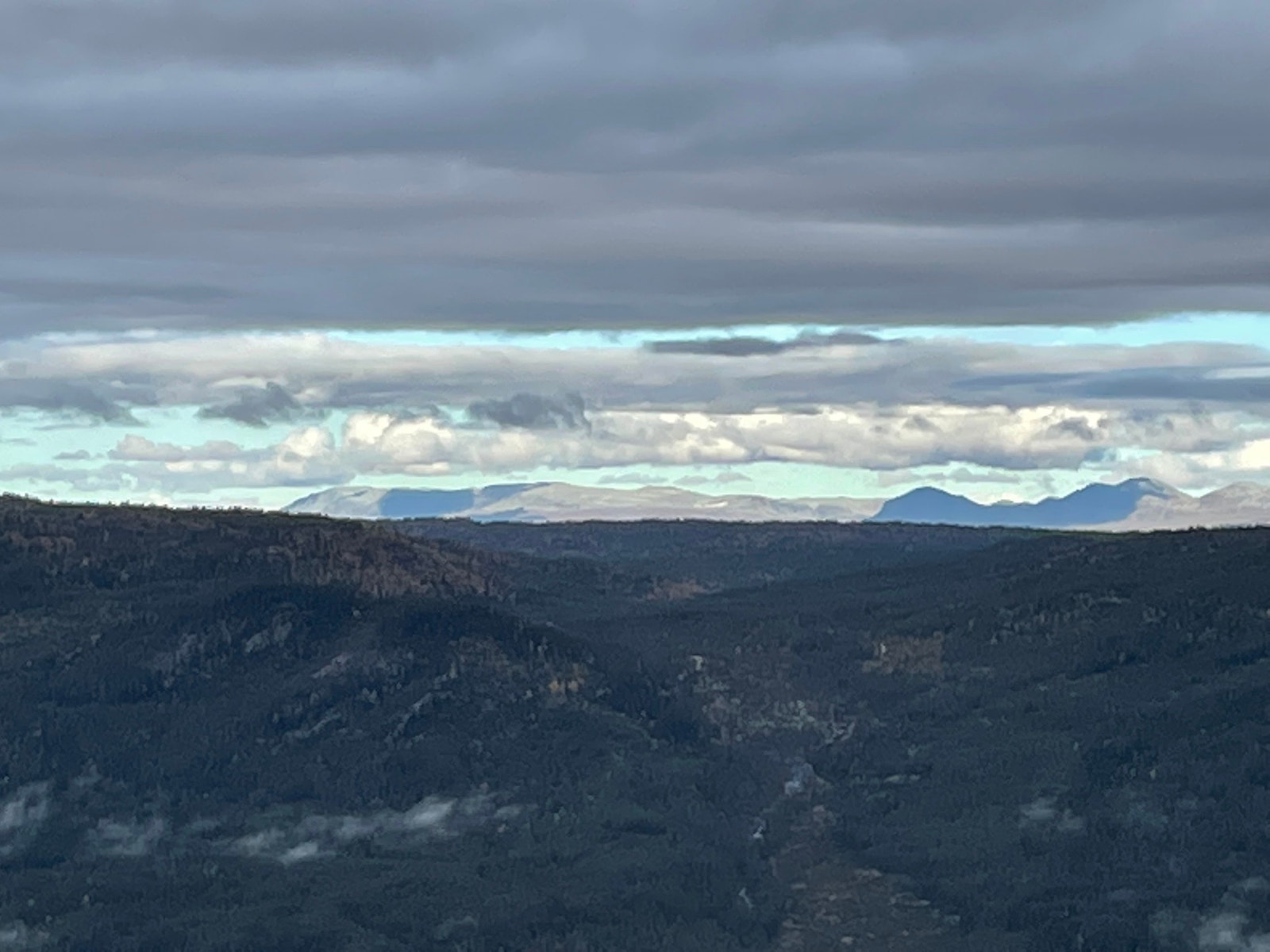 Blåbergi Galleribilde