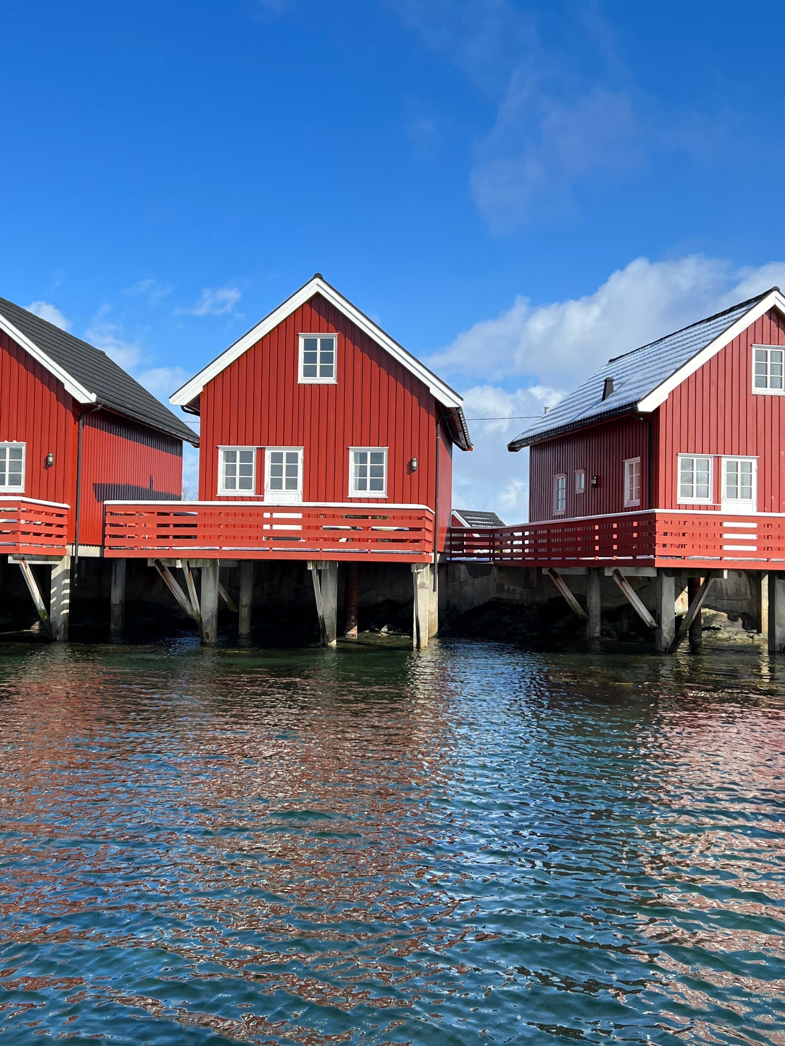 Fra sjøen Galleribilde
