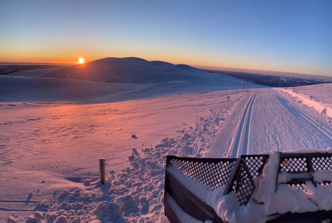 skiløyper Galleribilde