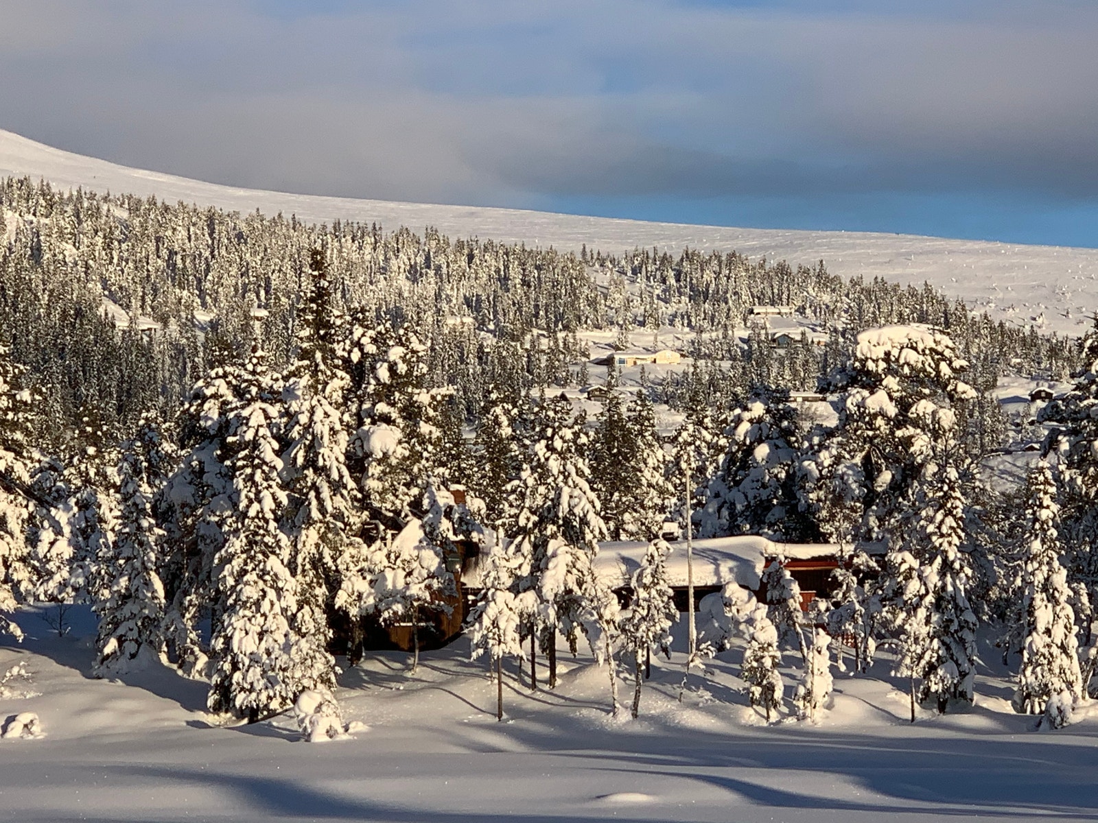 utsikt mot fjellet Galleribilde