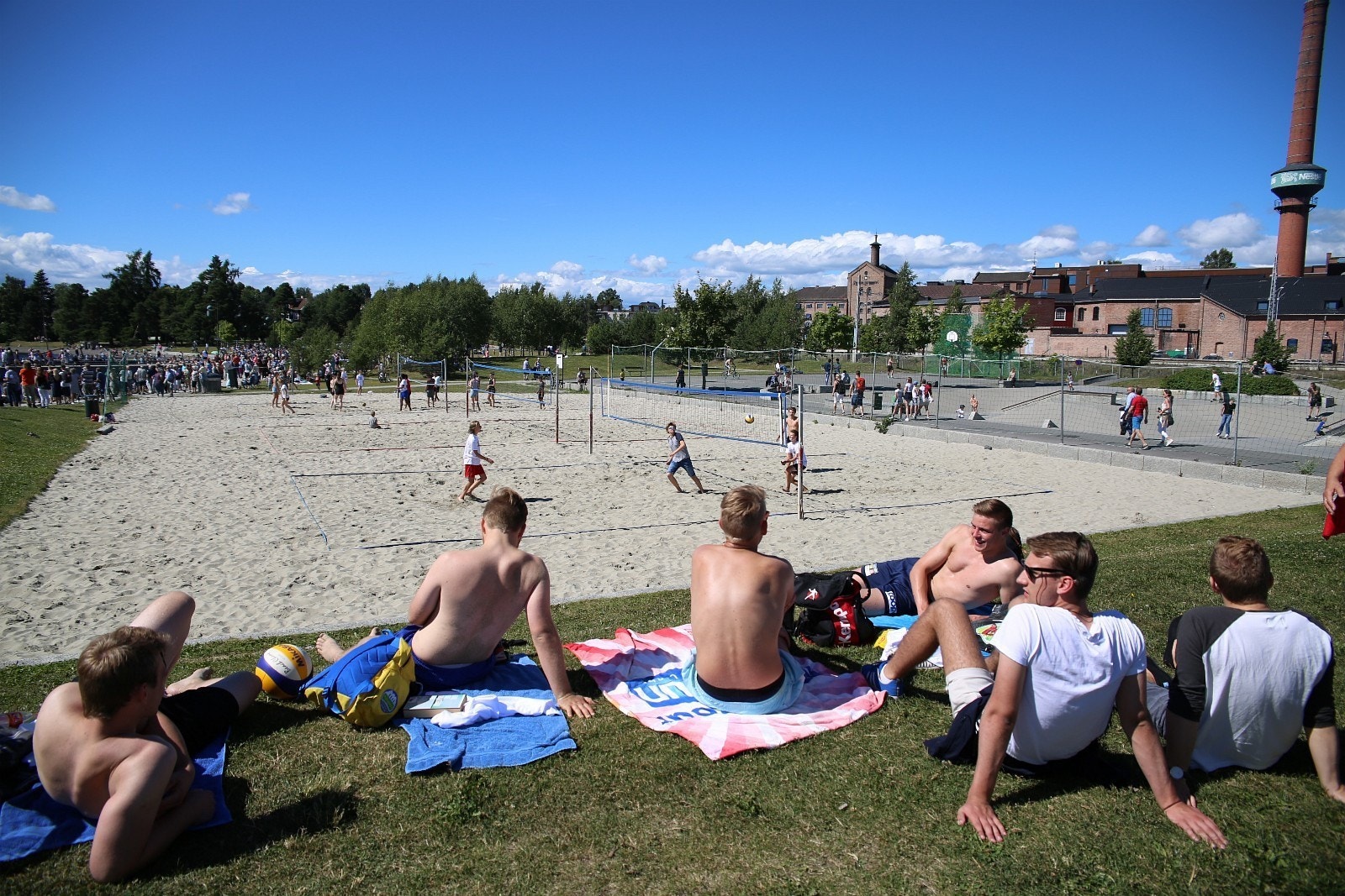 Sommer på koigen Galleribilde