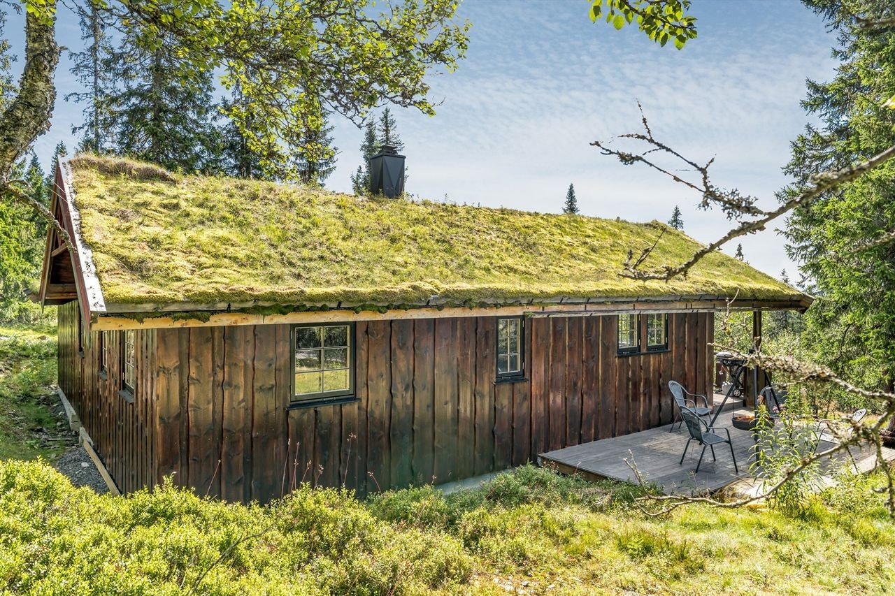 Platting mot nord Galleribilde