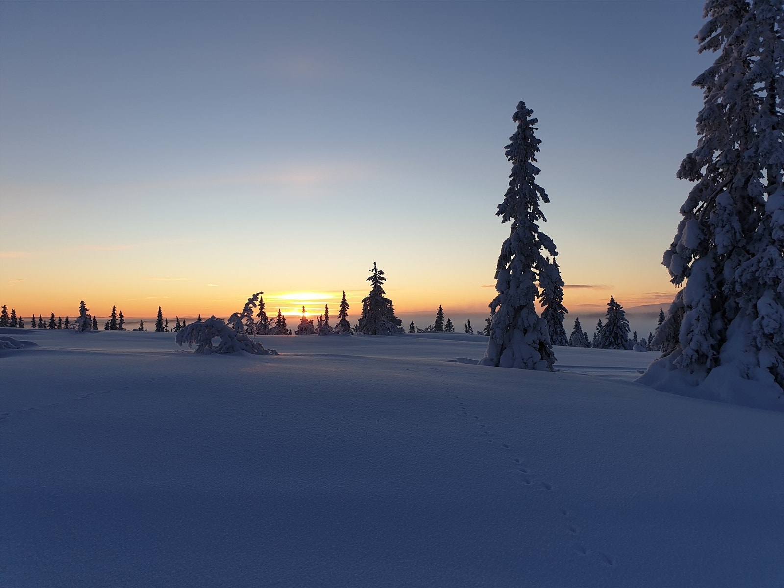 Fantastisk område både sommer som vinter Galleribilde