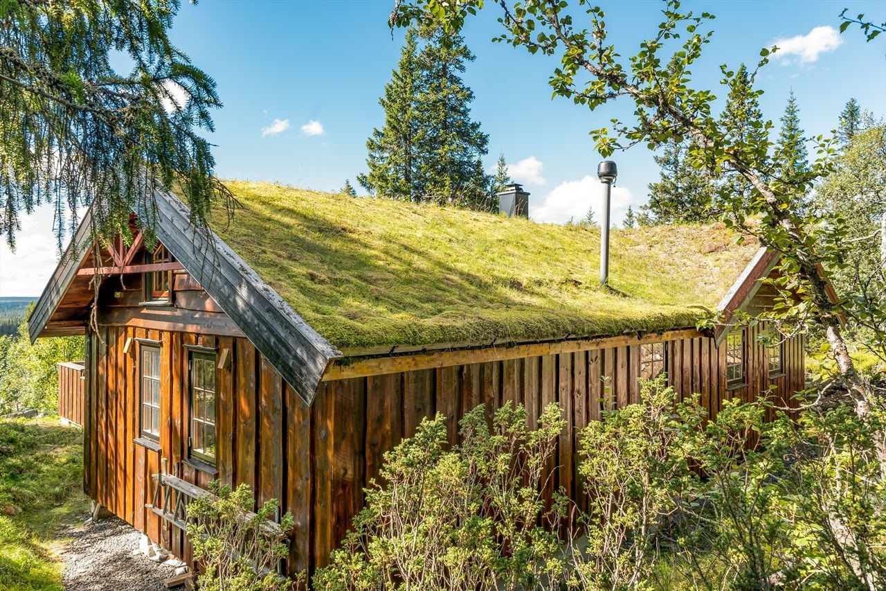 Tradisjonell hytte med villmarkspanel og torvtak Galleribilde