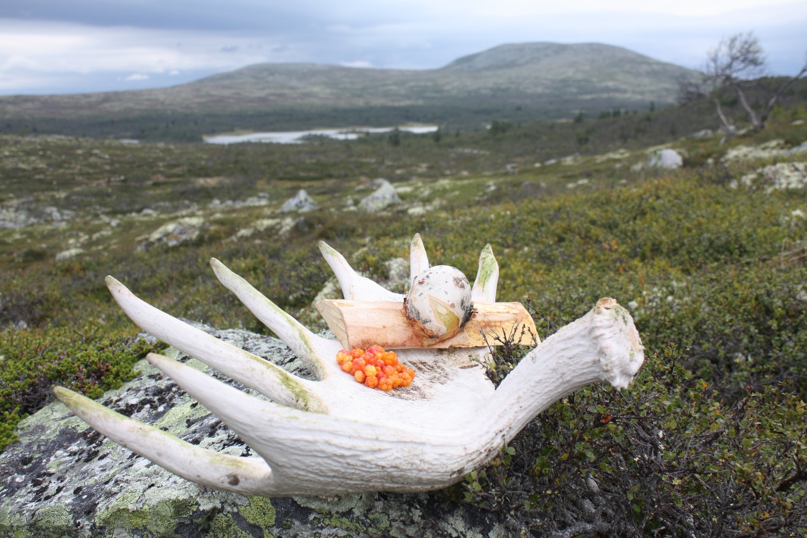 Mye av det beste, samlet på et bildet. Galleribilde