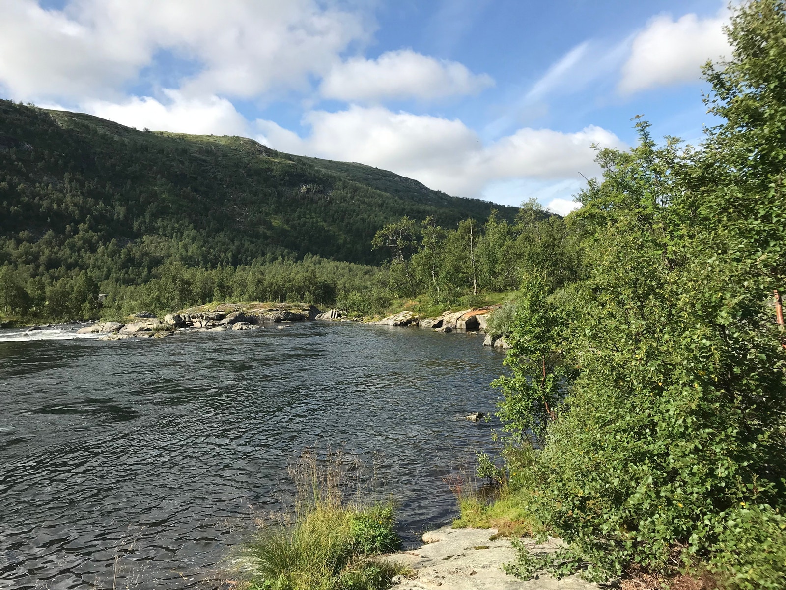 Bjoreio renner forbi like ved tomtene. Fiske eller bade ? Galleribilde