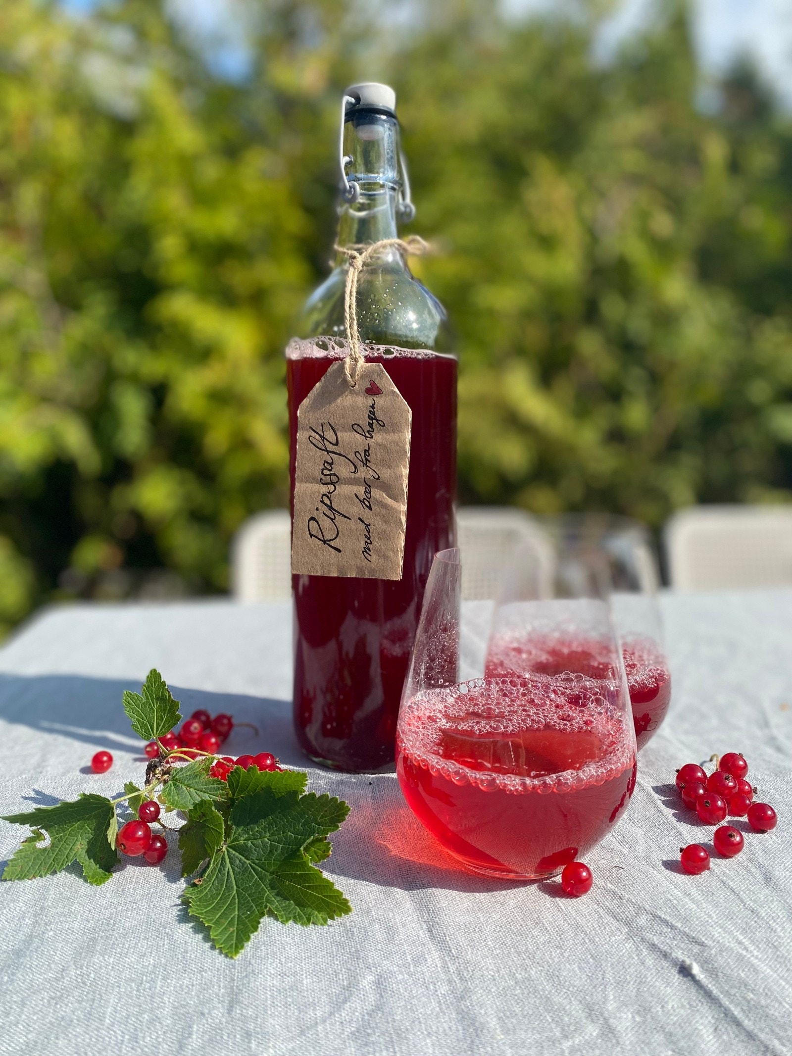 "Ripssaft fra rips i egen hage!" Galleribilde