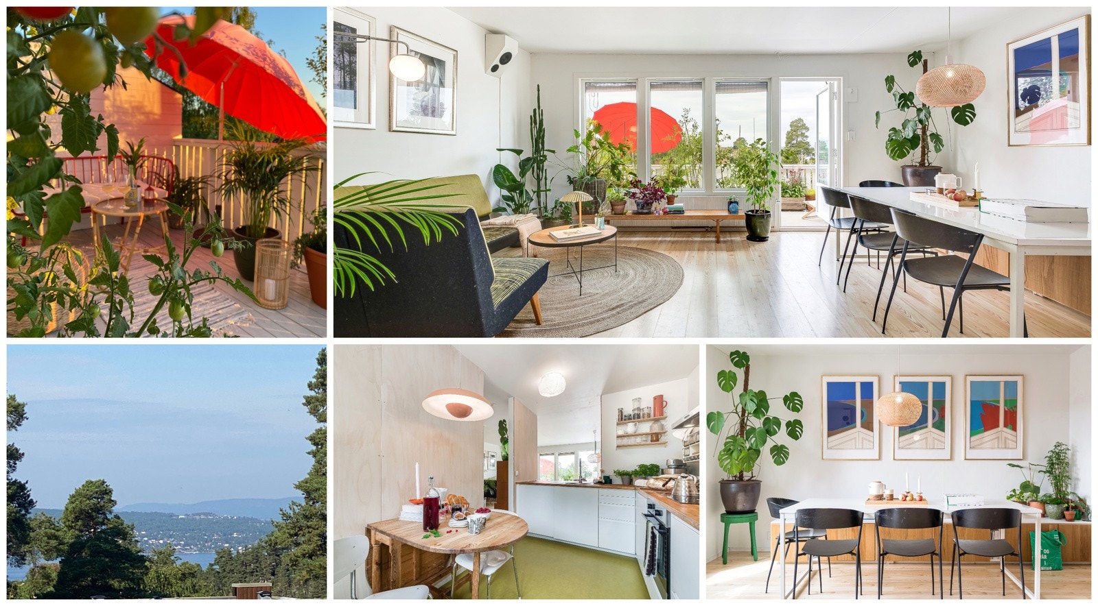 Velkommen til Rugdeberget borettslag - I dette nabolaget vil du trives Galleribilde