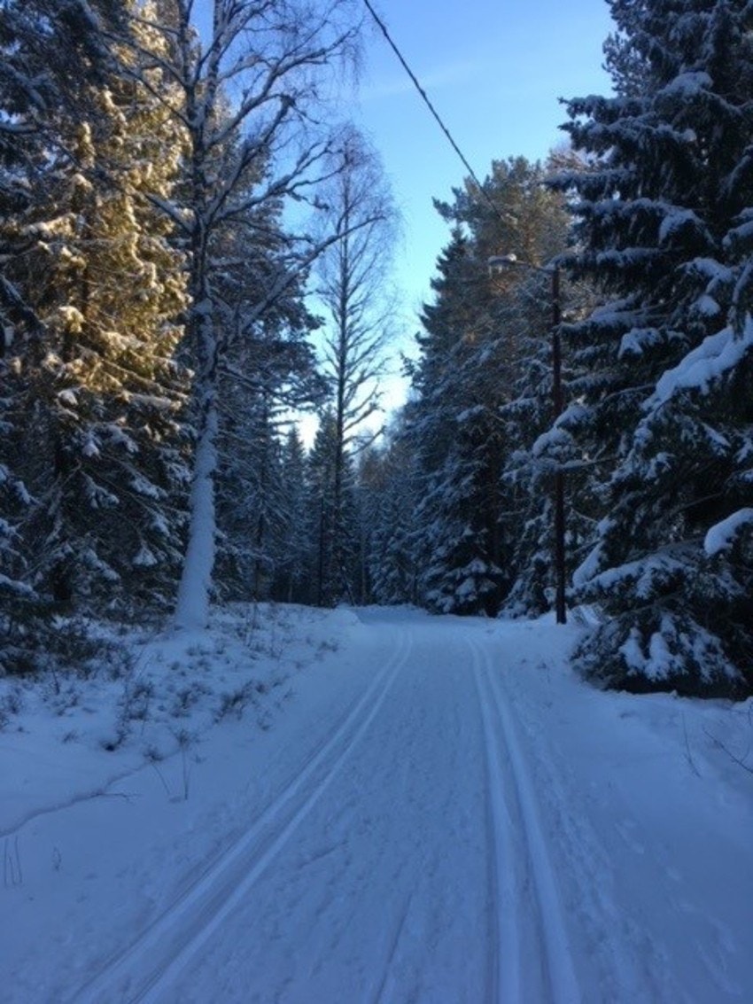 Lysløype i Grønliåsen med mulighet for lange turer i marka da løypa er koblet sammen med løypenettet i Oppegård. Galleribilde