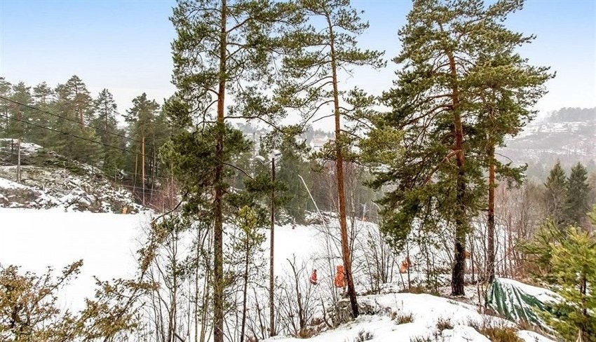 Slalombakken på Sloreåsen er heller ikke langt unna Galleribilde