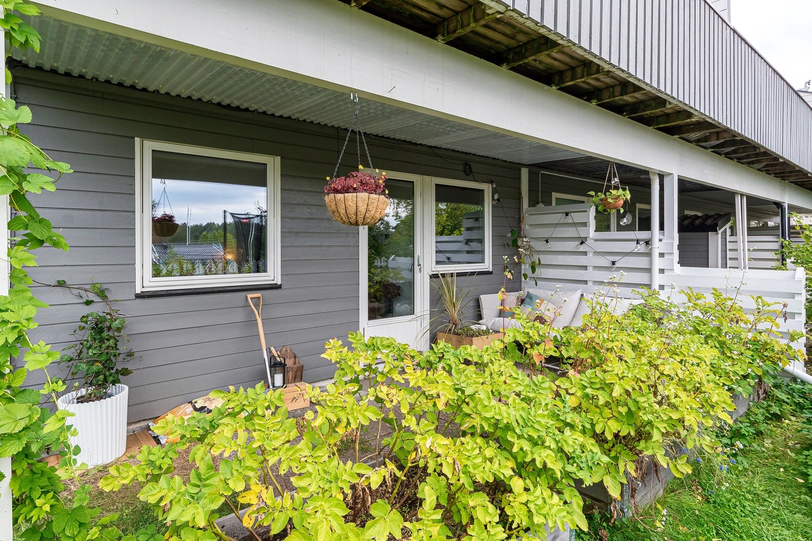 Perfekte solforhold for dyrking i hagen! Galleribilde