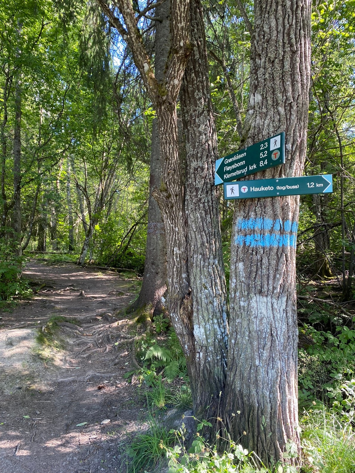 Nærskogen, Grønliåsen, ligger med bare 3 minutters bilfri gange fra rekkehuset. Galleribilde