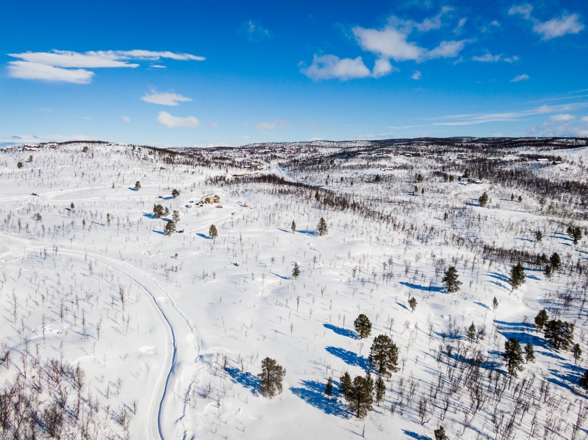 Bilde fra tomtefelt Galleribilde