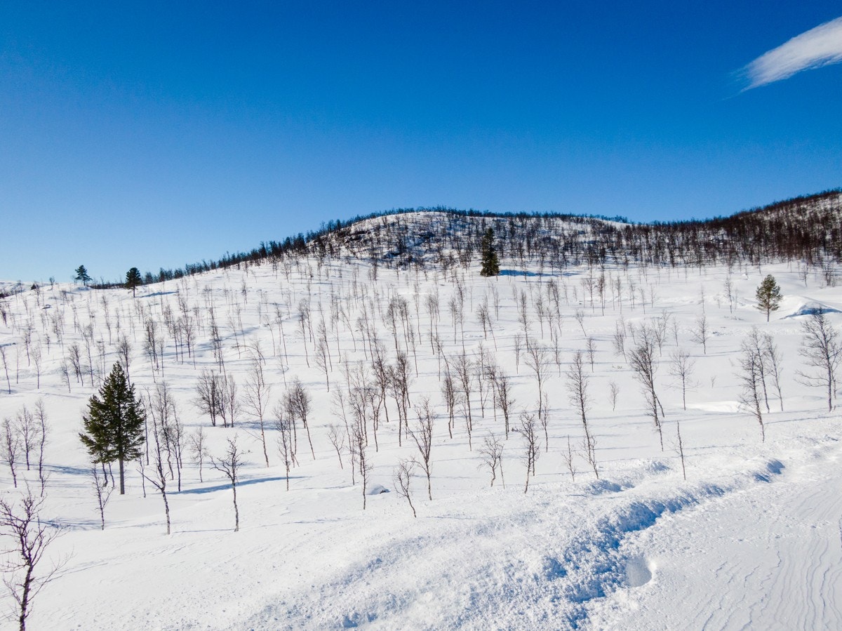 Bilde fra tomtefelt Galleribilde