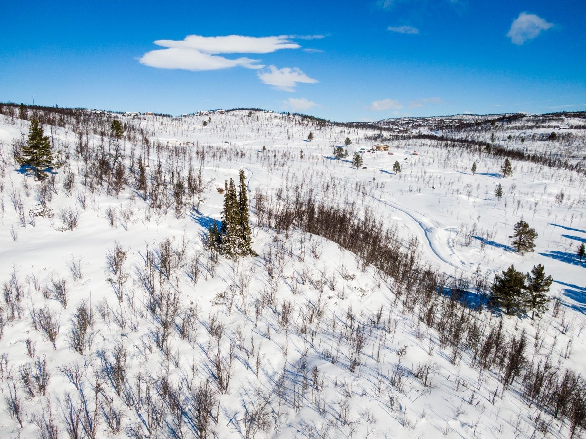 Bilde fra tomtefelt Galleribilde