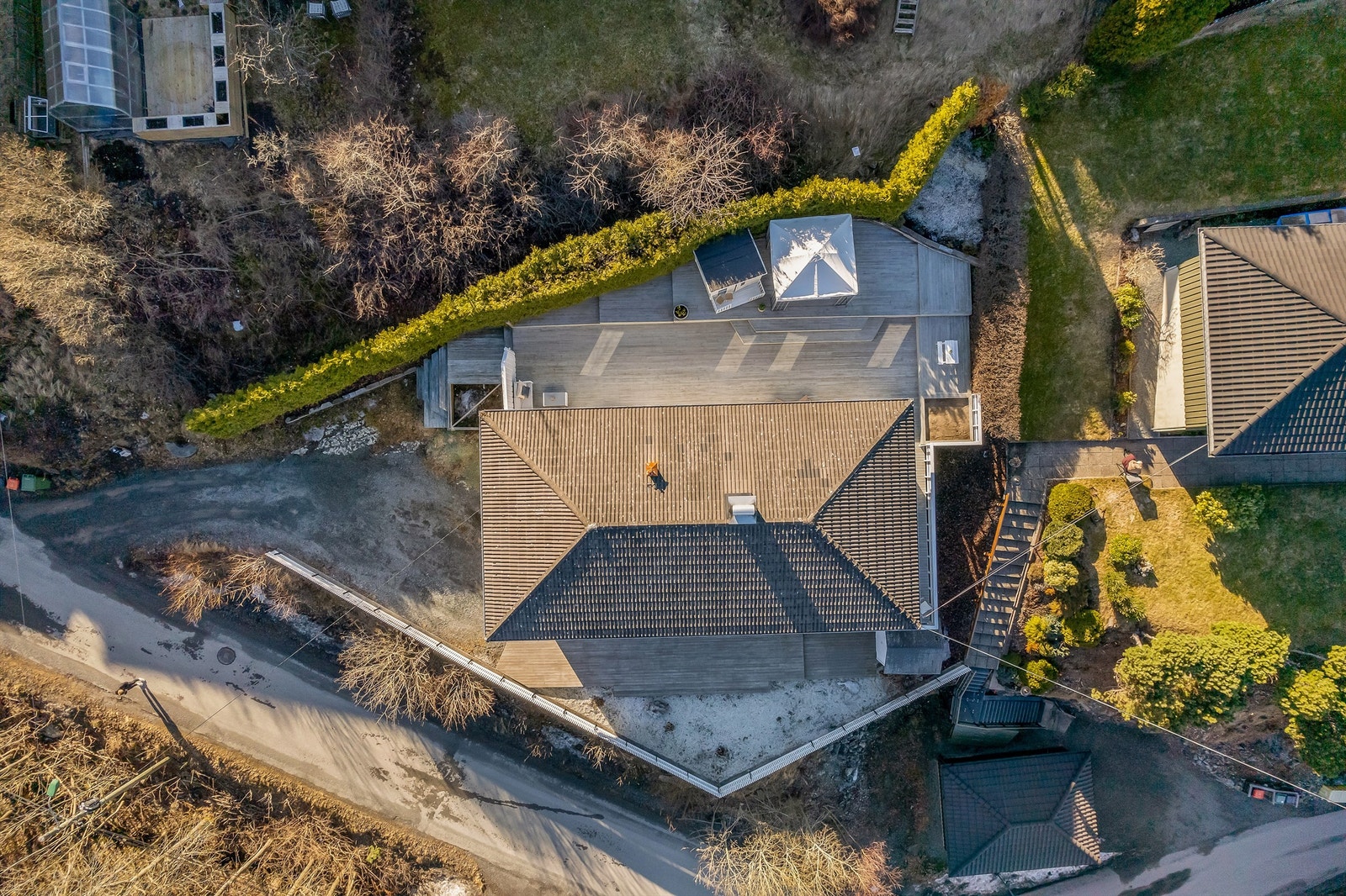 Fugleperspektiv. Galleribilde