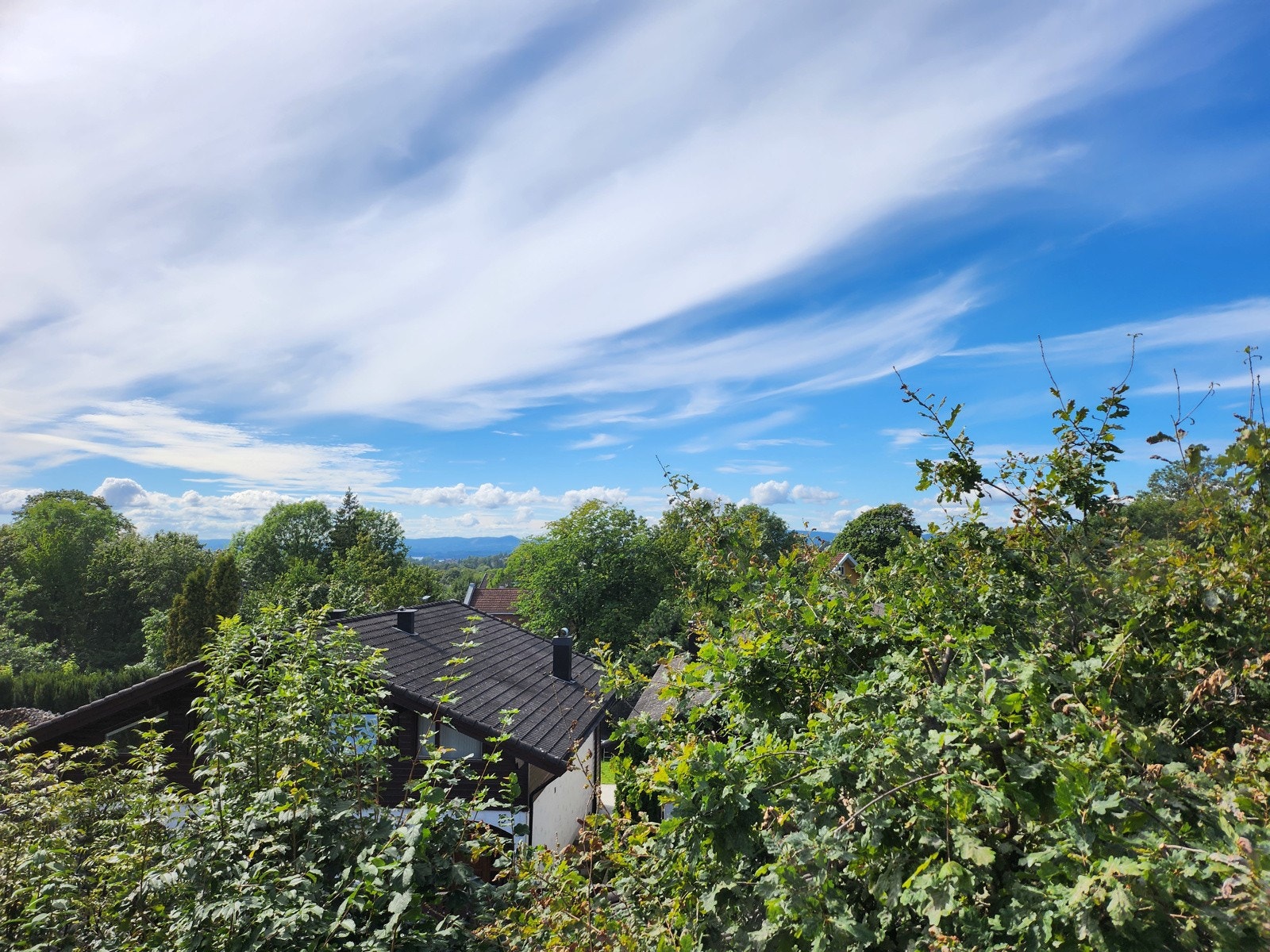 Fantastisk utsikt helt ned til fjorden fra balkongen Galleribilde