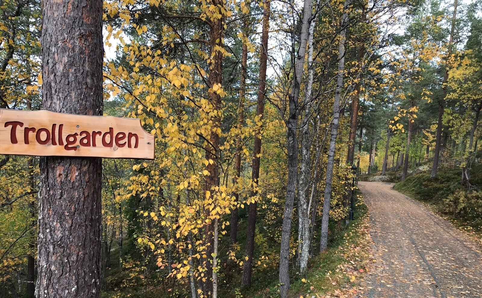 Velkommen! Eiendommen ligger skjermet fra veien. Galleribilde