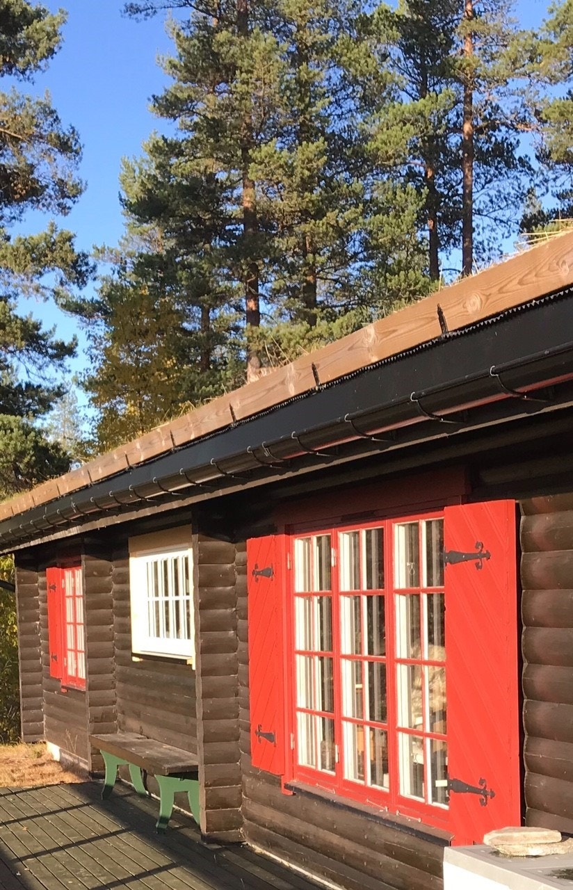 Gode solforhold. Galleribilde