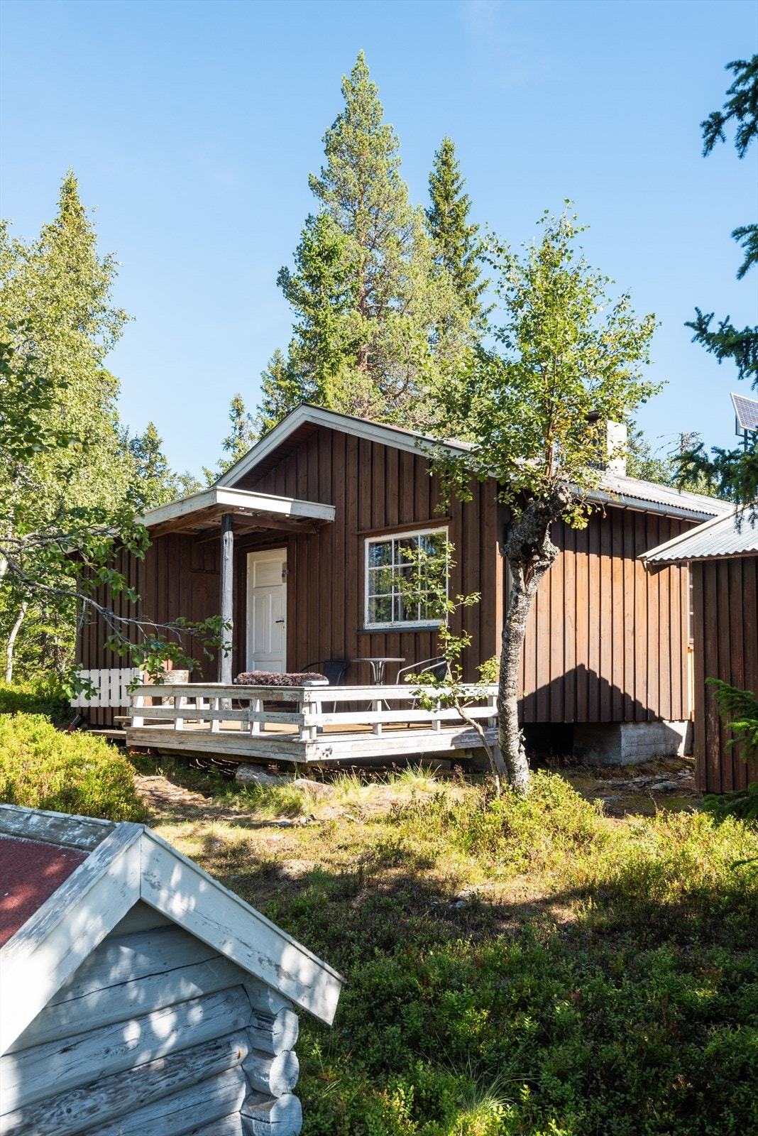 Hytte med en fin og usjenert beliggenhet langs Ruskåsen, rett ved skiløypa til Målia Galleribilde