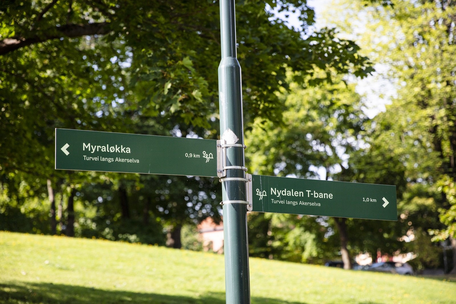 Det er mange turmulighetene langs Akerselva. Det er bilfri gang- og sykkelvei helt fra Maridalsvannet til elvas utløp i Oslofjorden (med unntak av tunellen under Sentralbanestasjonen). Galleribilde