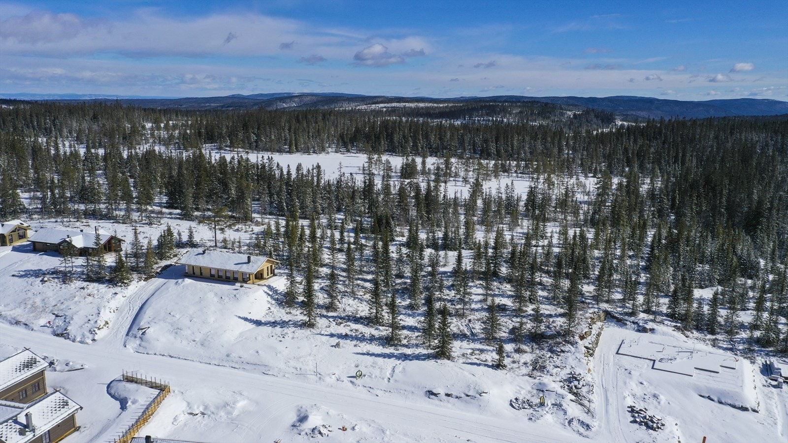DJI 0333 Galleribilde