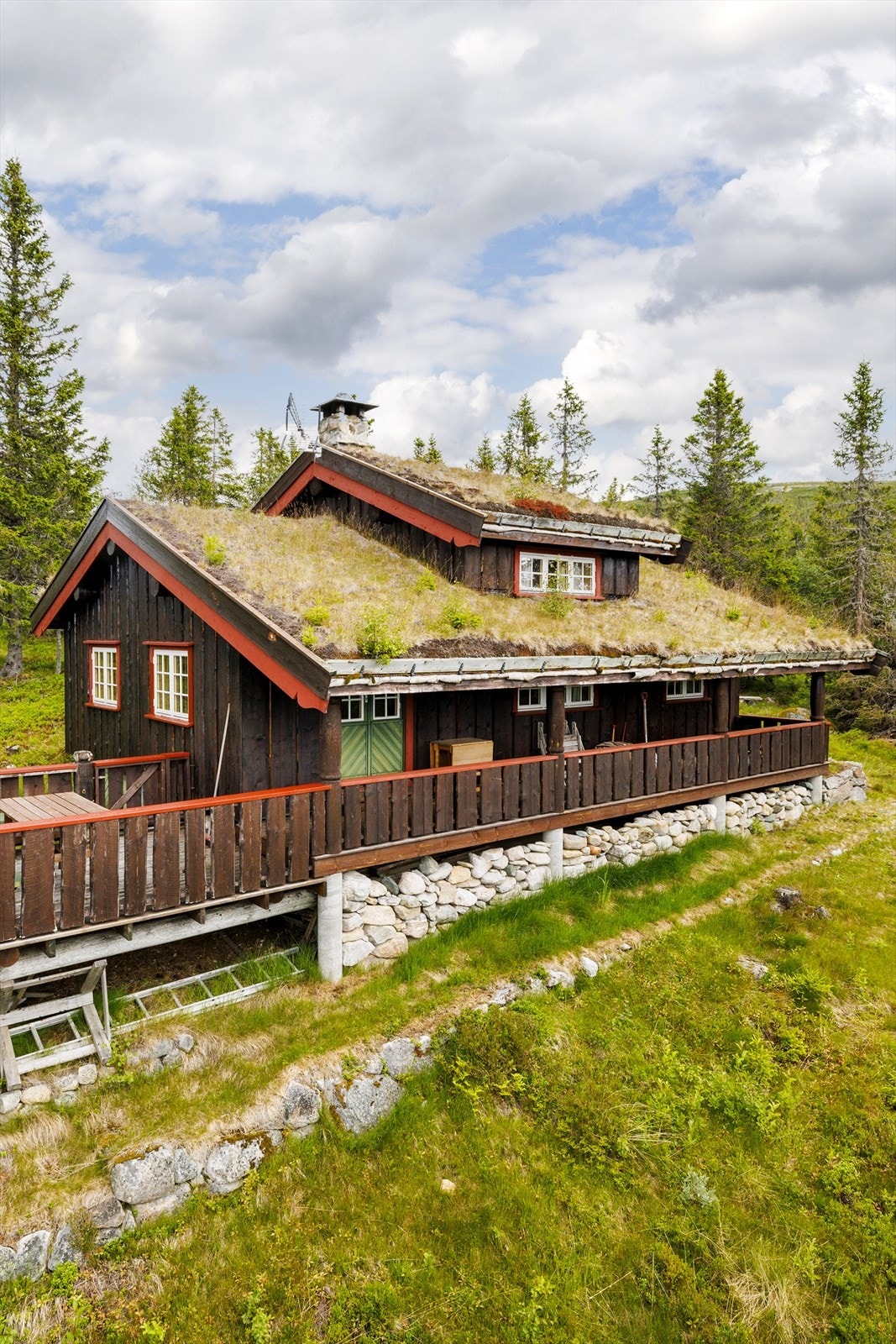 Velkommen til fjells! Galleribilde
