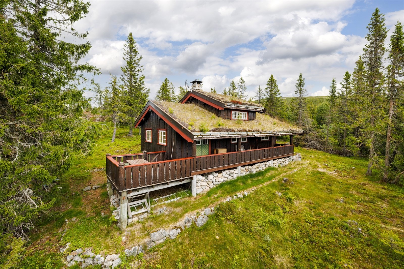 Velkommen til Skaresetran 83! Galleribilde