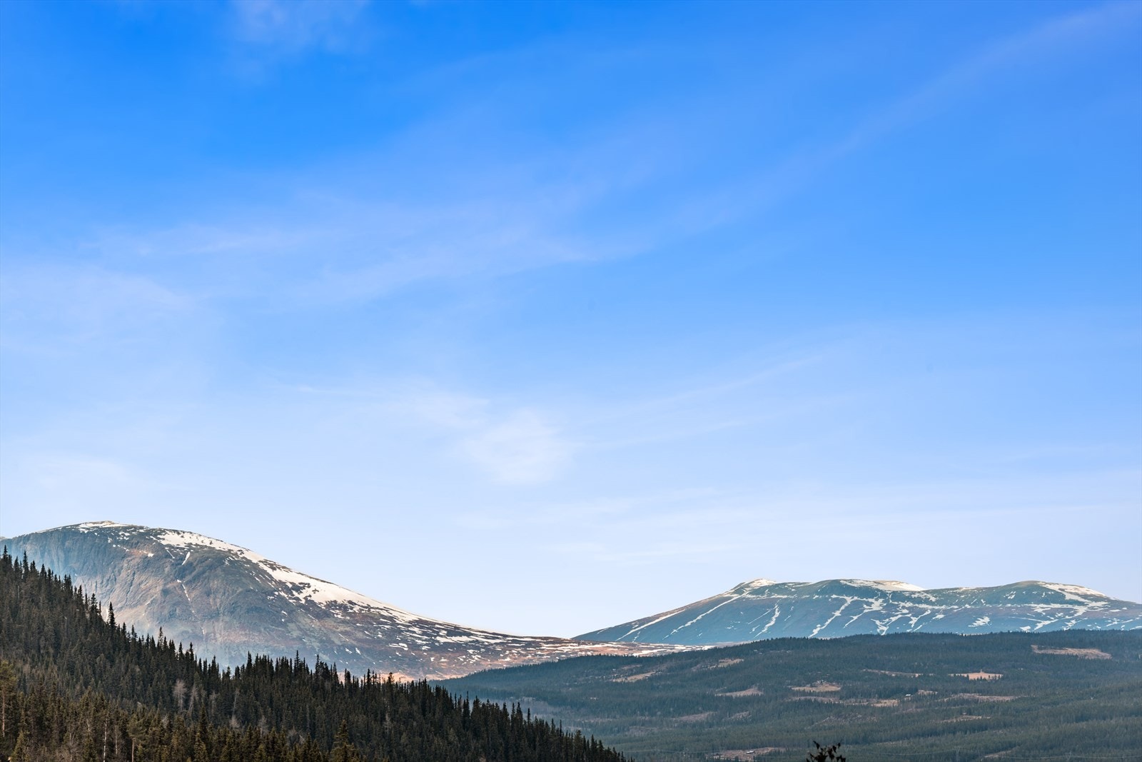 Upåklagelig utsikt. Galleribilde