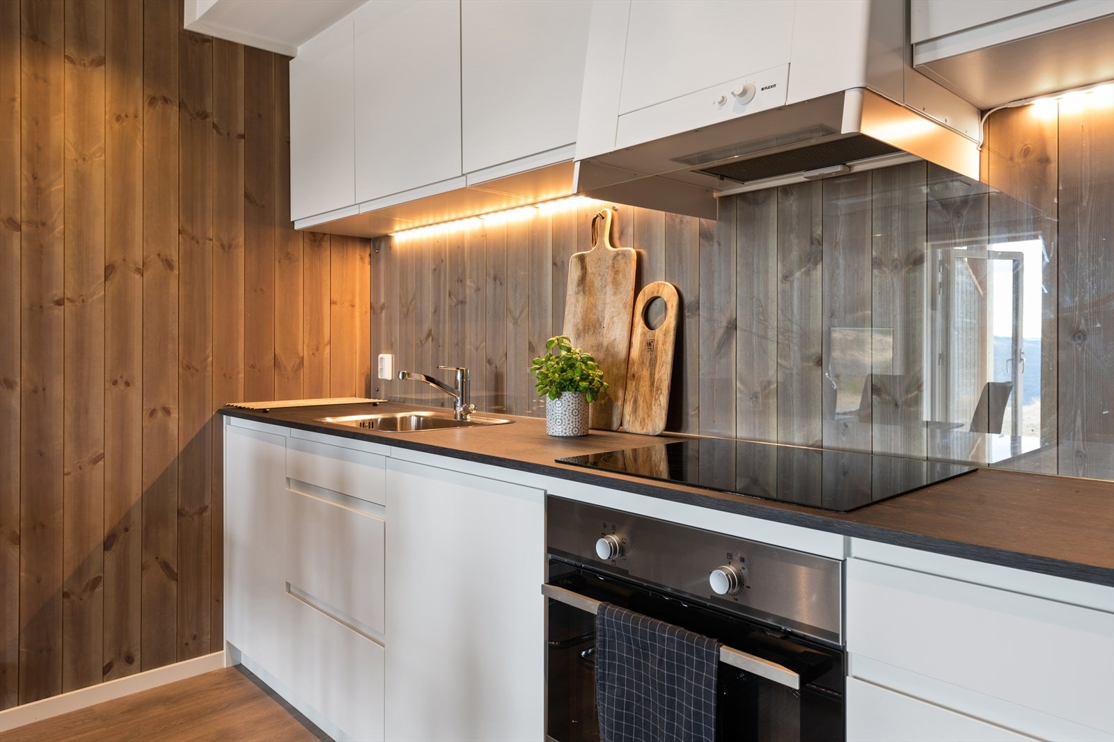 Integrert stekeovn, induksjonstopp, oppvaskmaskin og lite kjøleskap. Galleribilde